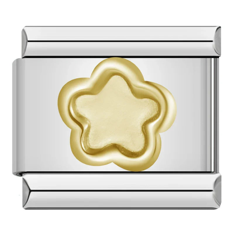 Silber-Charm Universum Stern